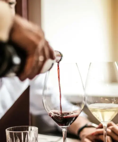 wine experience wine experience